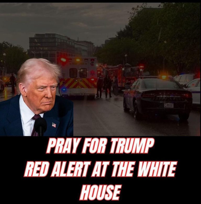 When Emergency Powers Meet Political Reality: The Battle for America’s Capital