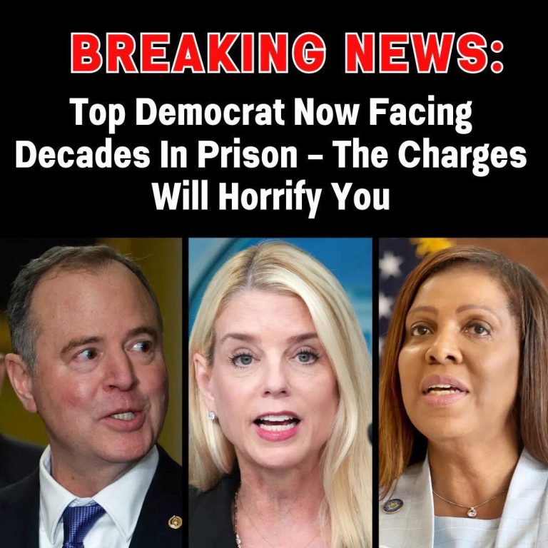 Democratic Party Rocked by Massive Corruption Scandals: $800,000 Embezzlement Case Exposes Systemic Pay-to-Play Culture