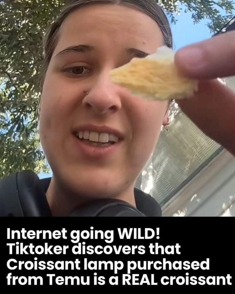 Internet going WILD! Croissant lamp purchased from Temu turns out to be a REAL croissant!