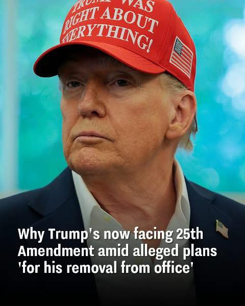 Why Trump is now under pressure from the 25th Amendment after claims of a removal plan