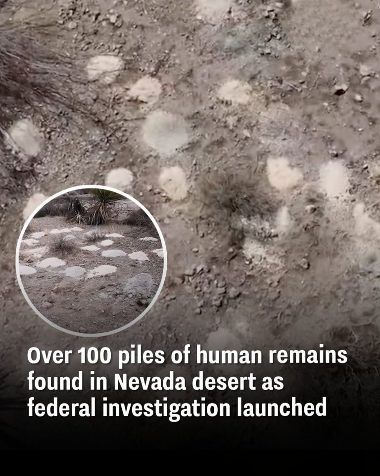 Over 100 piles of human remains found in Nevada desert as federal investigation launched