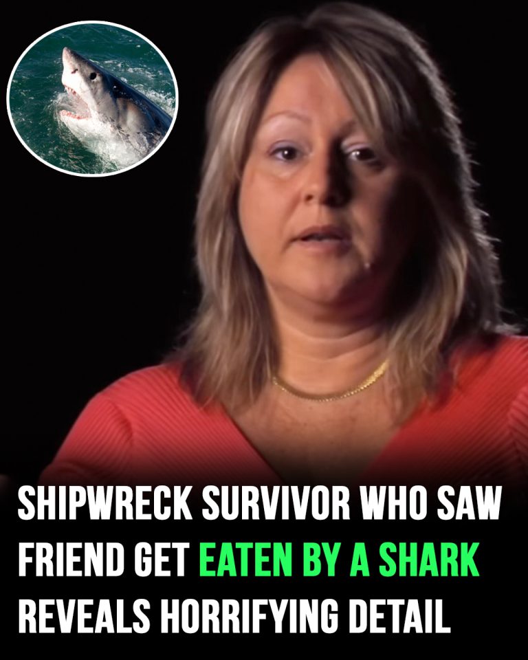 Shipwreck survivor who saw her friend get eaten by a shark recalls horrifying detail