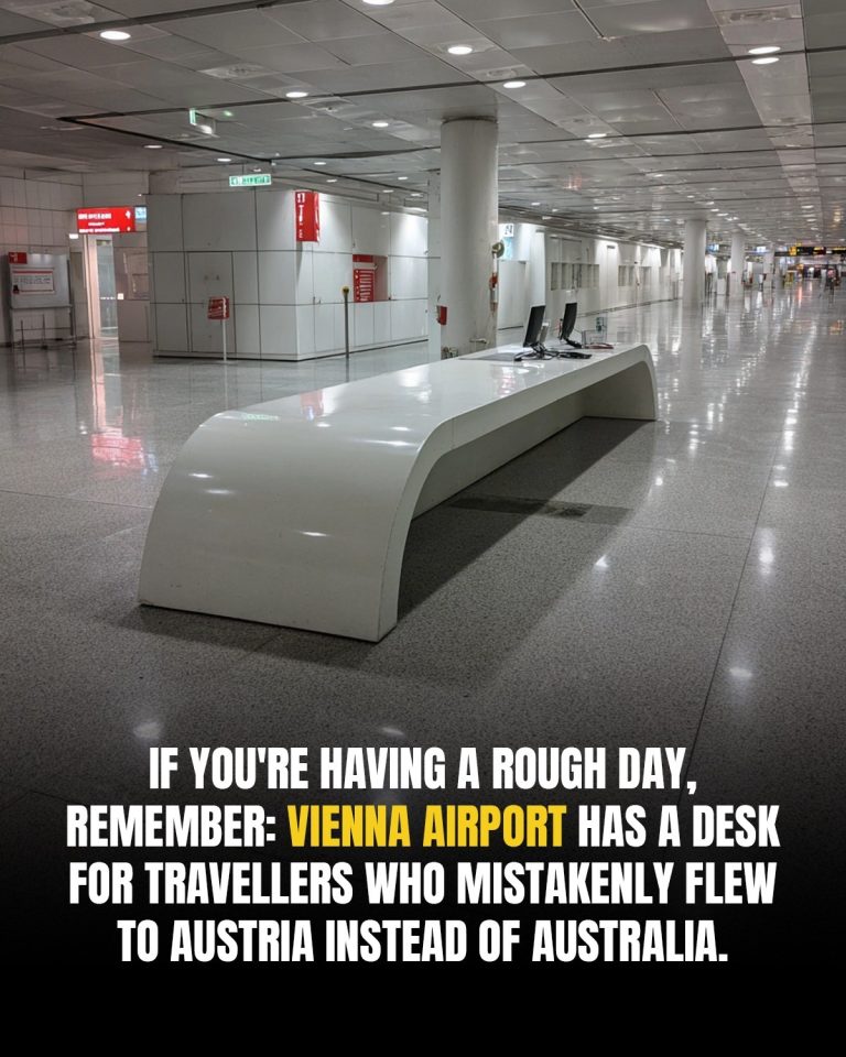 Lost in Translation: The Vienna “Australia Desk”