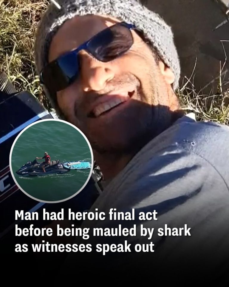Man had heroic final act before being mauled by shark as witnesses speak out