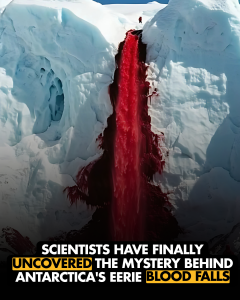 The Mystery Behind The Blood Falls In Antarctica