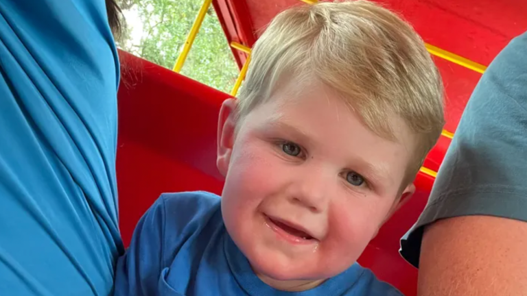 Georgia toddler stung over 150 times by yellow jackets, fighting for life