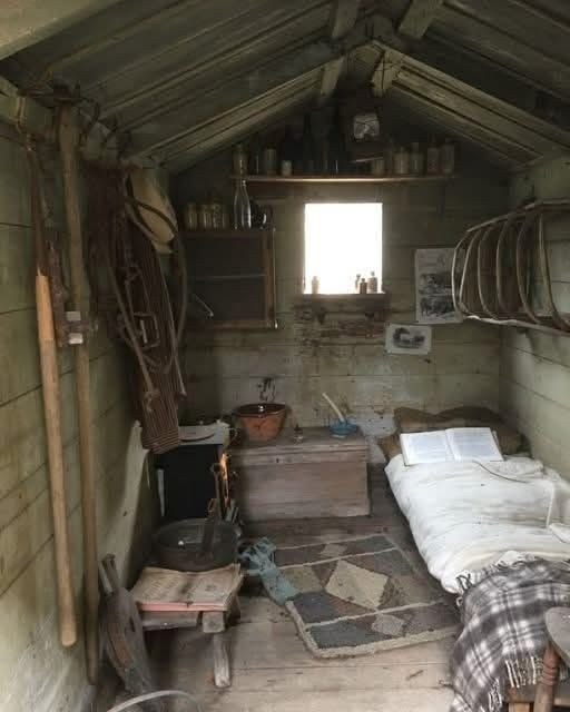 THIS OLD CABIN WAS THE ONLY INHERITANCE I GOT FROM MY GRANDPARENTS—AND IT MADE ME RICHER THAN I EVER IMAGINED