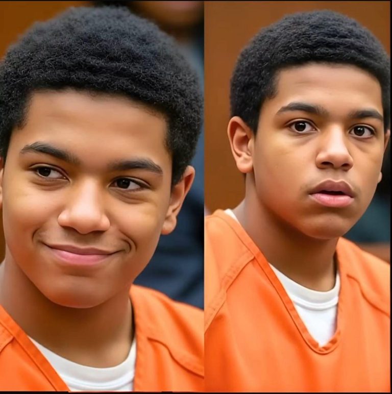 15-Year-Old Boy Mocked the Court After Shoplifting — The Judge’s Next Move Changed Everything