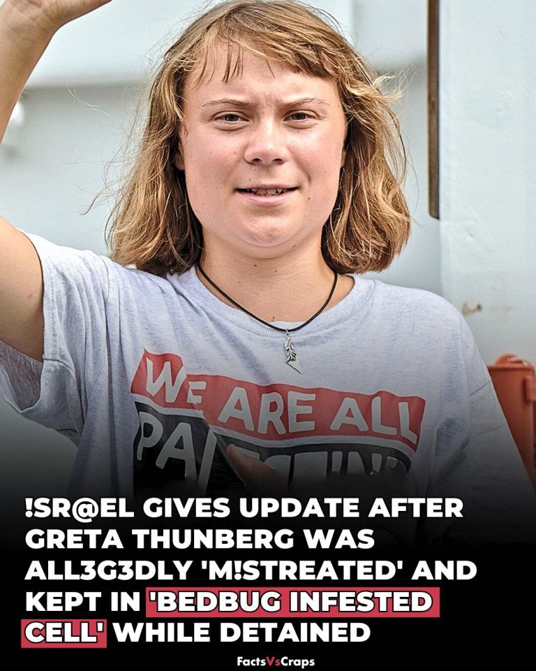 Israel gives update after Greta Thunberg was allegedly ‘mistreated’ and kept in ‘bedbug infested cell’ while detained