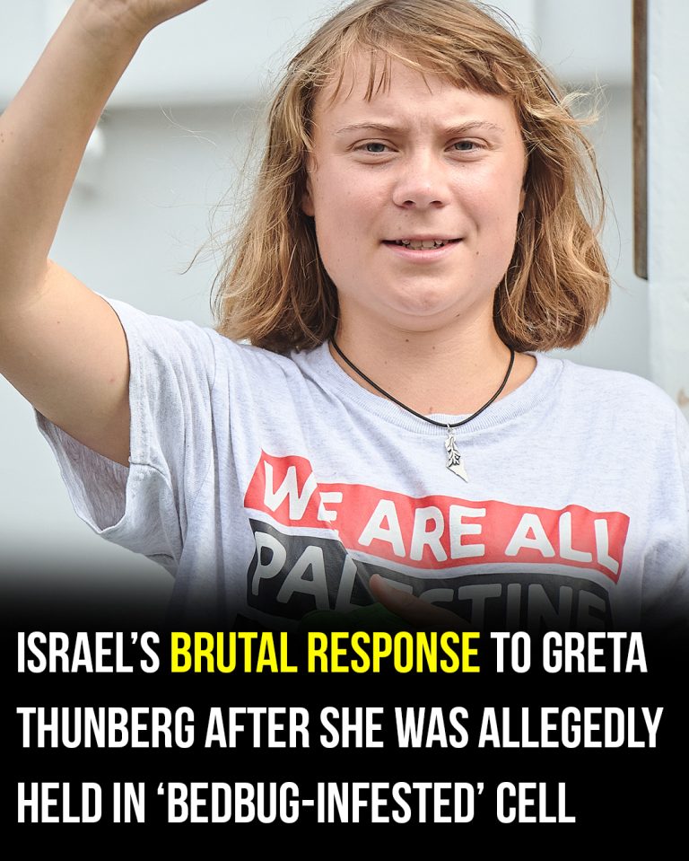 Israel issues new update on Greta Thunberg after controversial detention
