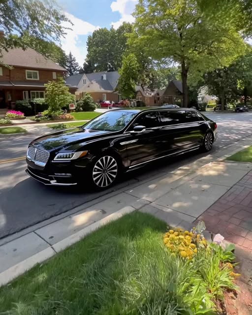 My Aunt Kicked Me Out of My Childhood Home After My Parents Died, Just as I Left Crying, a Black Limo Pulled Up!!!