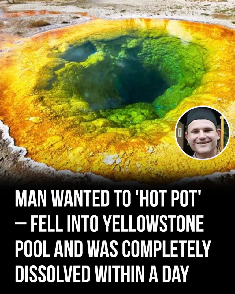 Man suffers horrific death after being ‘dissolved’ at Yellowstone – this will leave you terrified