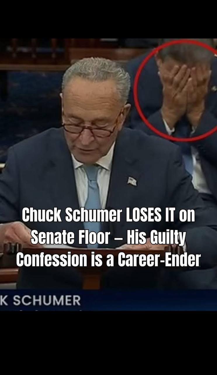 Schumer Faces Backlash After Remarks About Government Shutdown Spark Outrage