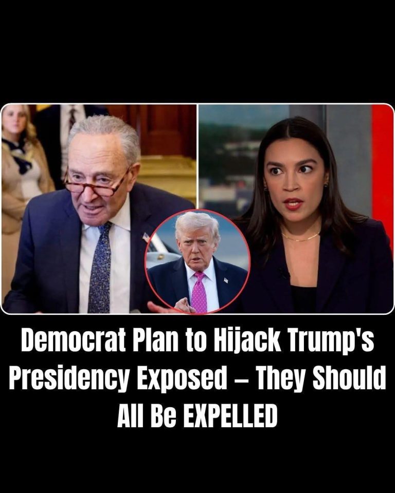 Democratic Party Faces Internal Struggles Amid Government Shutdown