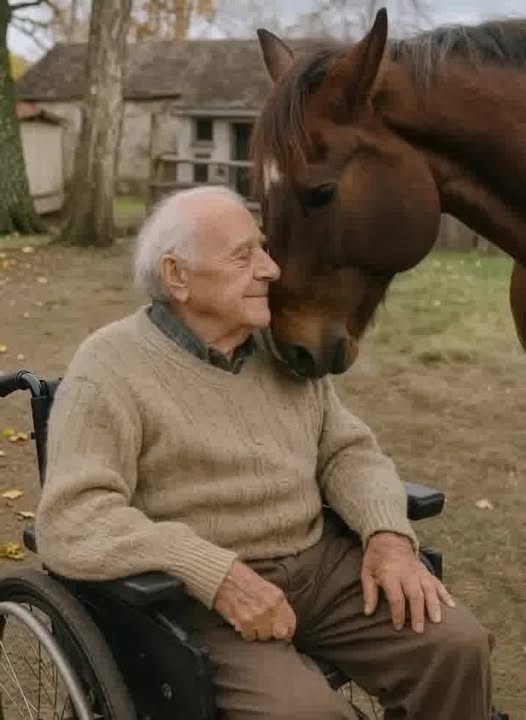 Before He Said Goodbye to His Horse, Something Truly Miraculous Happened!