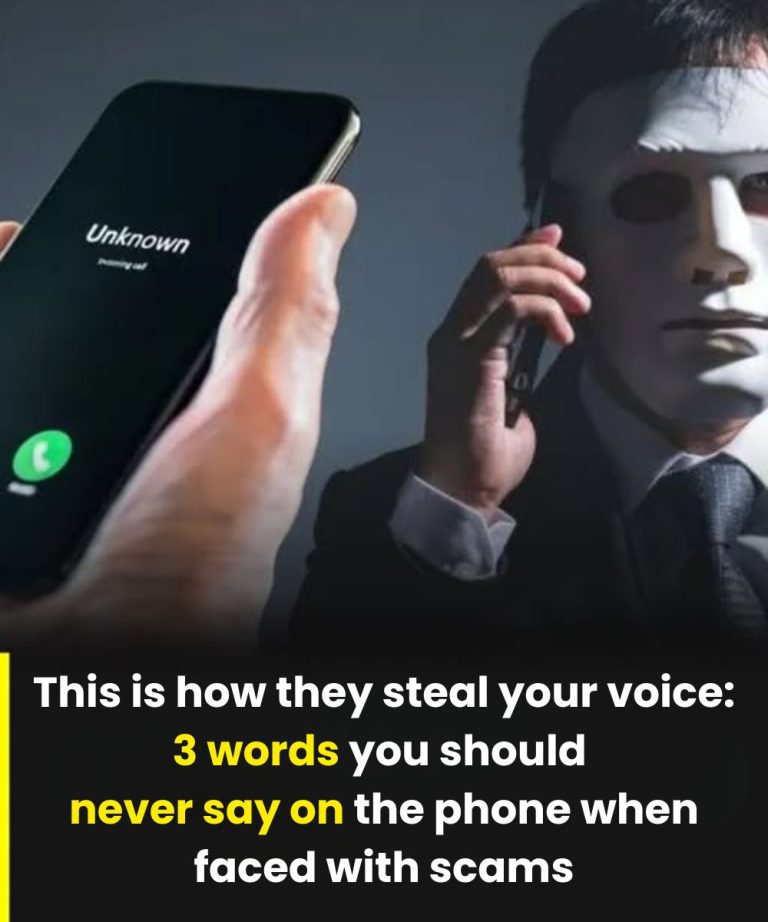 Alert! The word that can turn your voice into the key to artificial intelligence fra:ud.