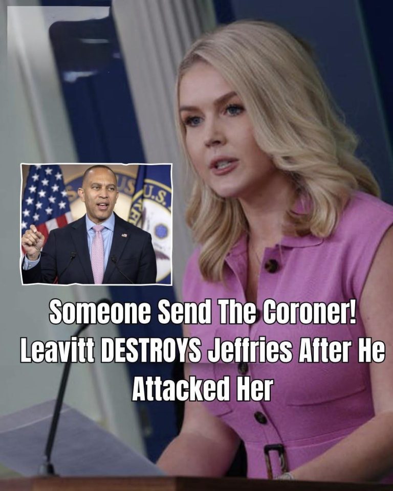 Jeffries and Leavitt Trade Barbs as Government Shutdown Tensions Boil Over