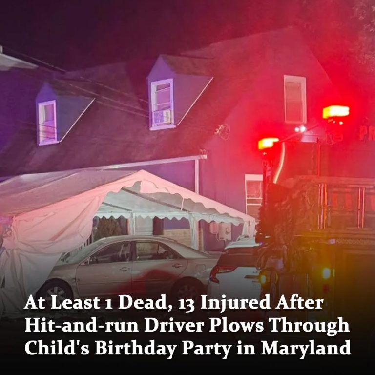 A hit-and-run at a children’s birthday party left 13 injured and one dead Saturday night. Among the 14 victims, eight were children. Pray for those injured and affected families…