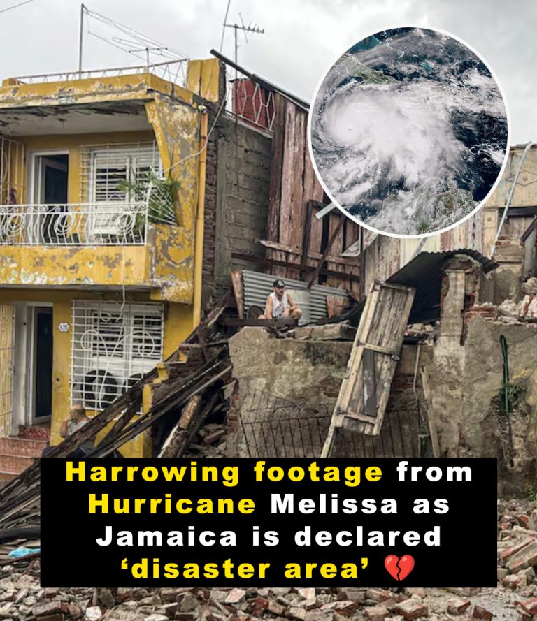 Harrowing footage shows aftermath of Hurricane Melissa in Jamaica