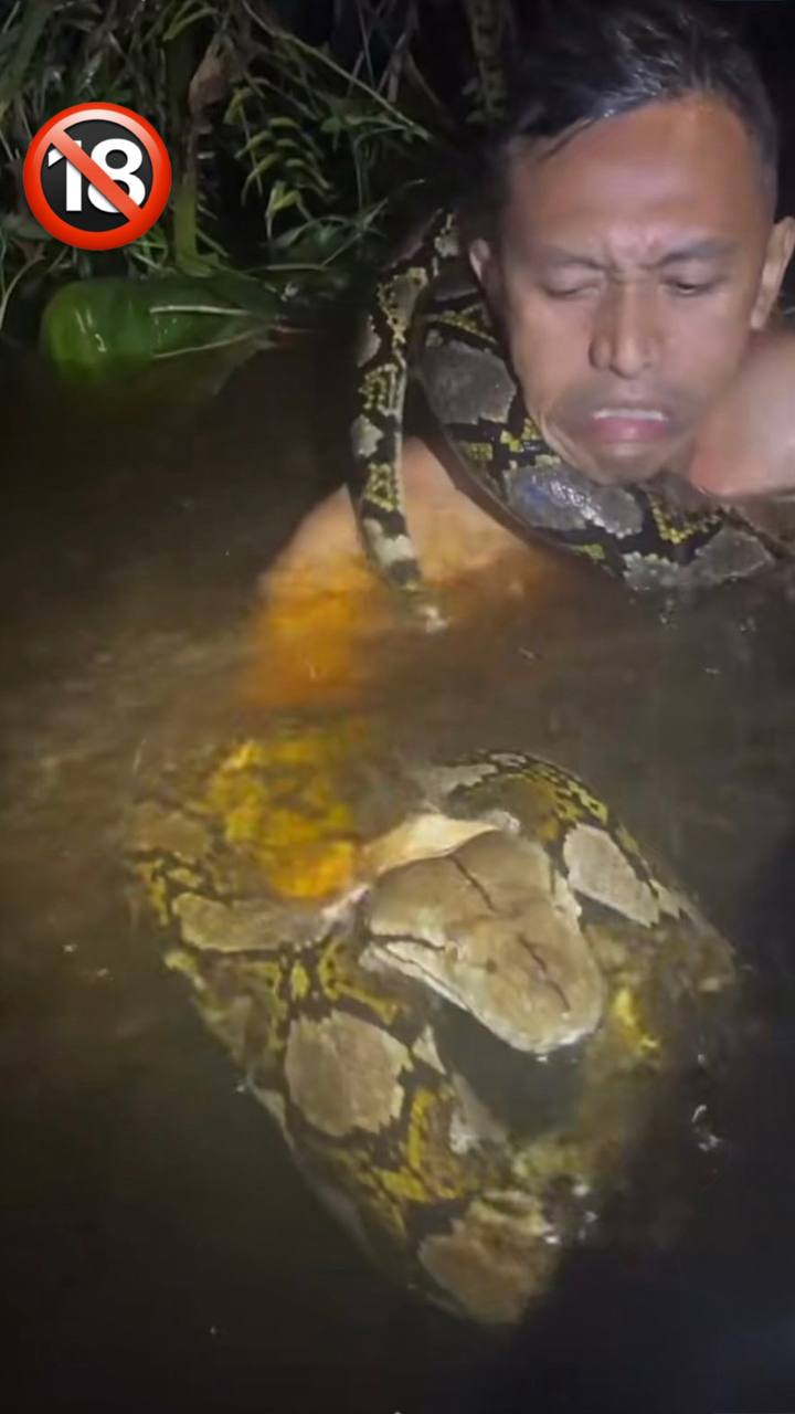 Man Fights Off Giant Python Attack — You Won’t Believe How He Escaped! 🔞 🔞🔞 (Full Video in Comments)