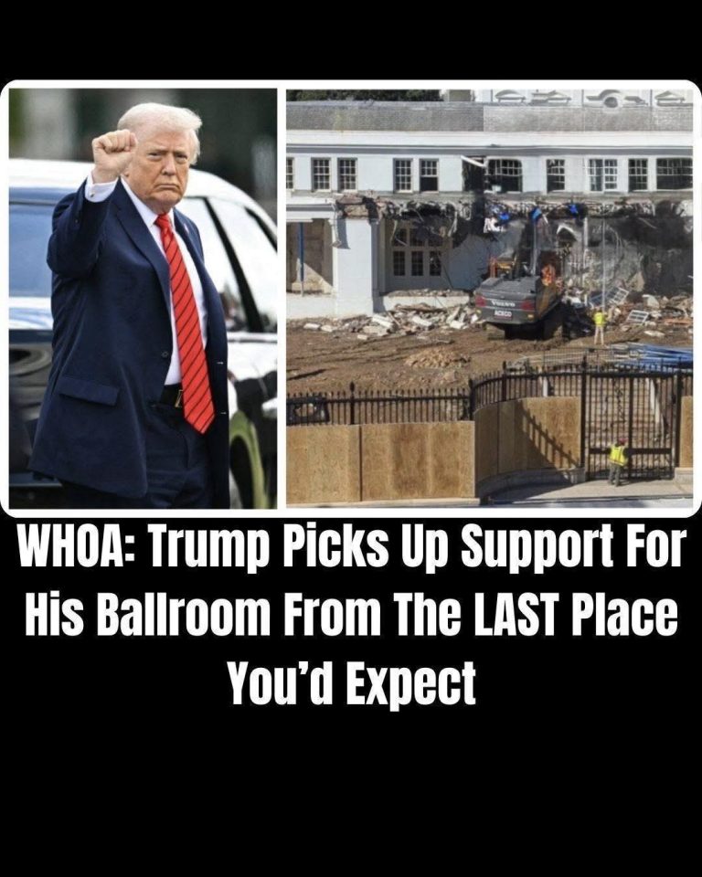 You Won’t Believe Who Just Defended Trump’s New White House Ballroom