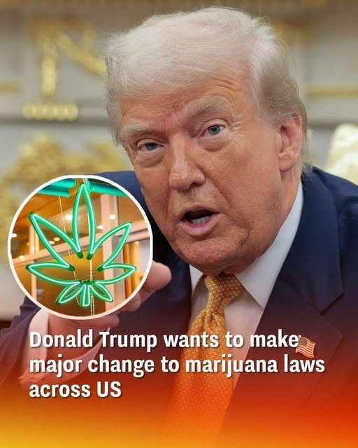 Federal Drug Policy Discussions Signal Potential Shift in Cannabis Classification
