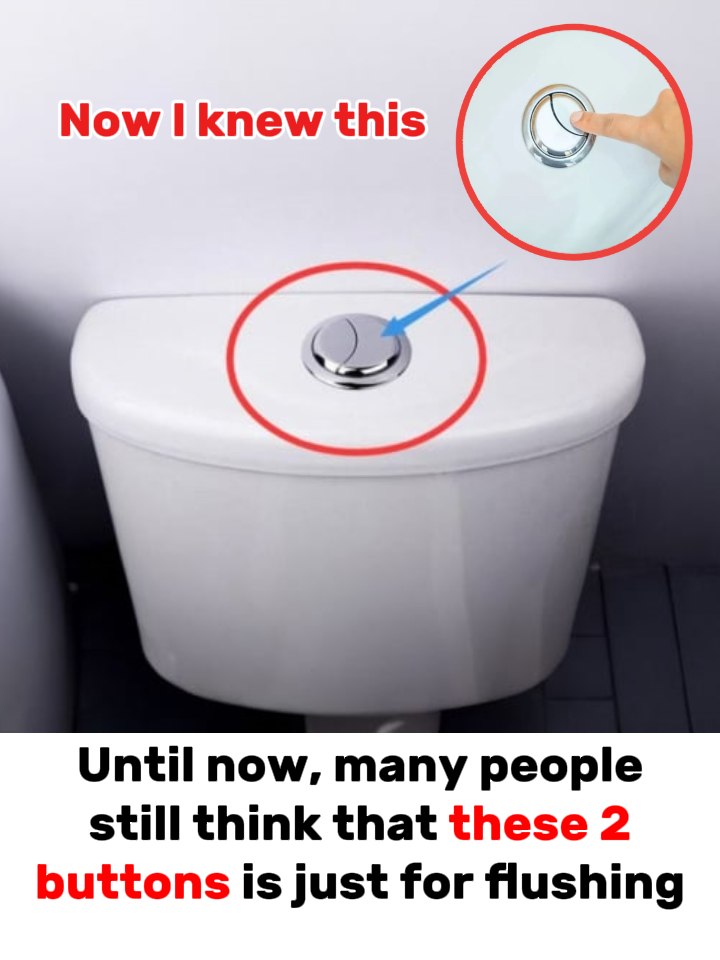 Those Two Flush Buttons Aren’t Just a Design Choice