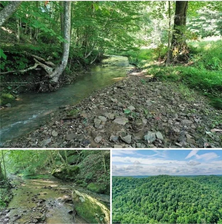 72.79 Acres of Unrestricted Hunting & Recreational Land