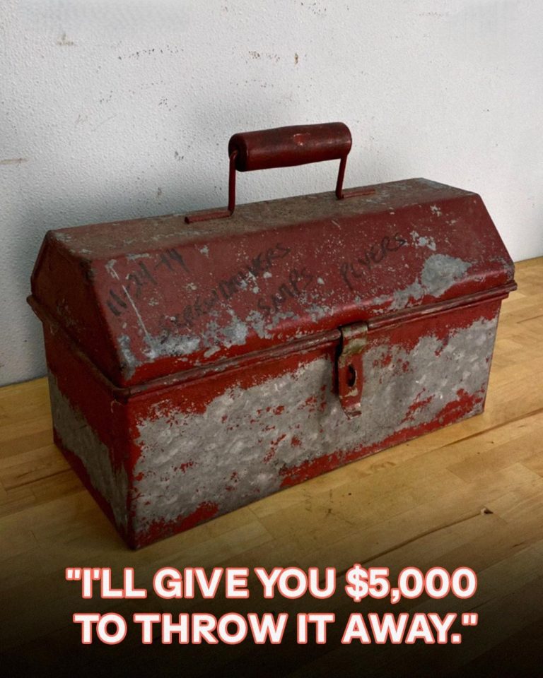 My Father Left Me a Locked Toolbox, But My Stepmother Offered Me $5000 to Throw It Away