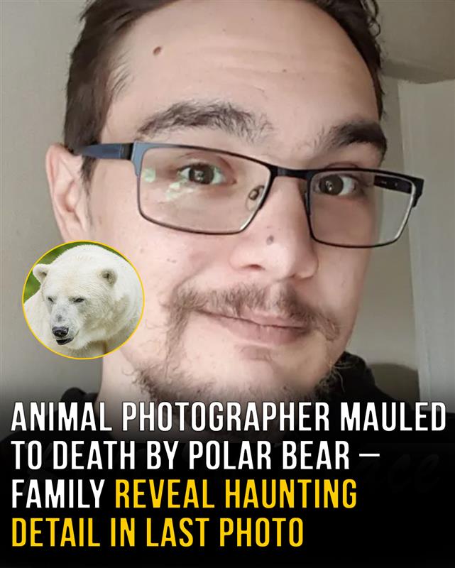 Man told family not to worry about polar bear photo days before fatal attack
