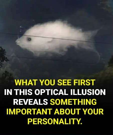 Optical illusion! What you see first reveals something important about your personality