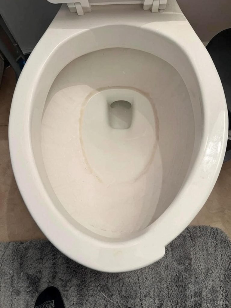 How To Remove Hard Water Stains From A Toilet Bowl With Just One Product