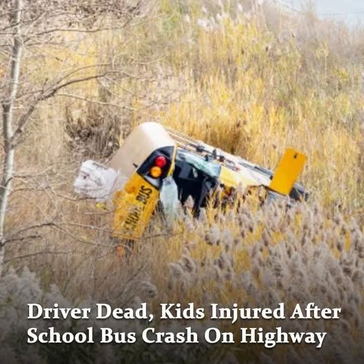 A school bus carrying 32 children crashed off Highway 401 in! See more