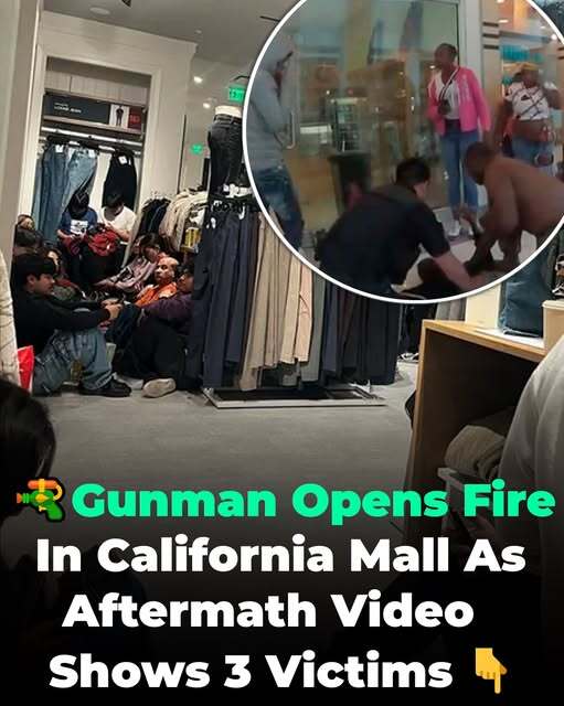 California Mall Erupts in Gunfire as Shoppers Flee — The Aftermath No One Saw Coming