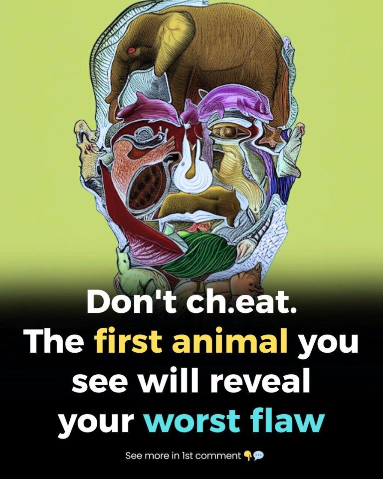 The First Animal You Spot In This Visual Reveals Your ‘Worst Flaw’