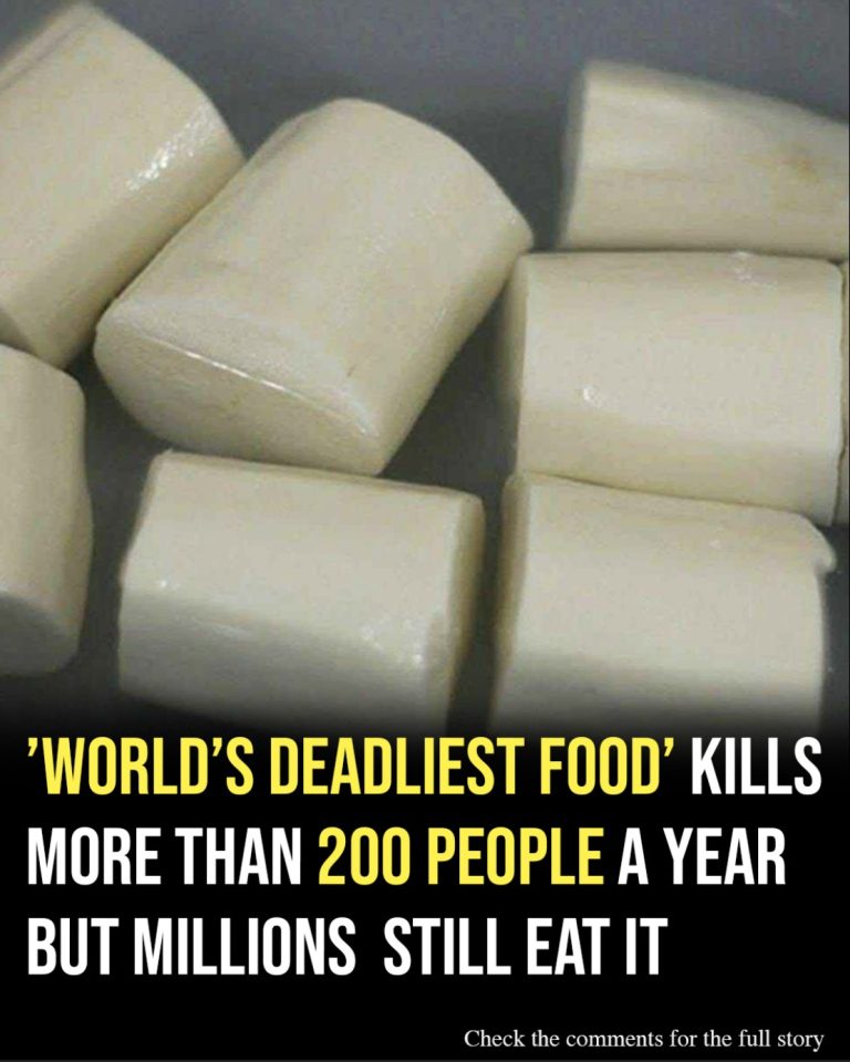World’s ‘deadliest food’ kills 200 each year