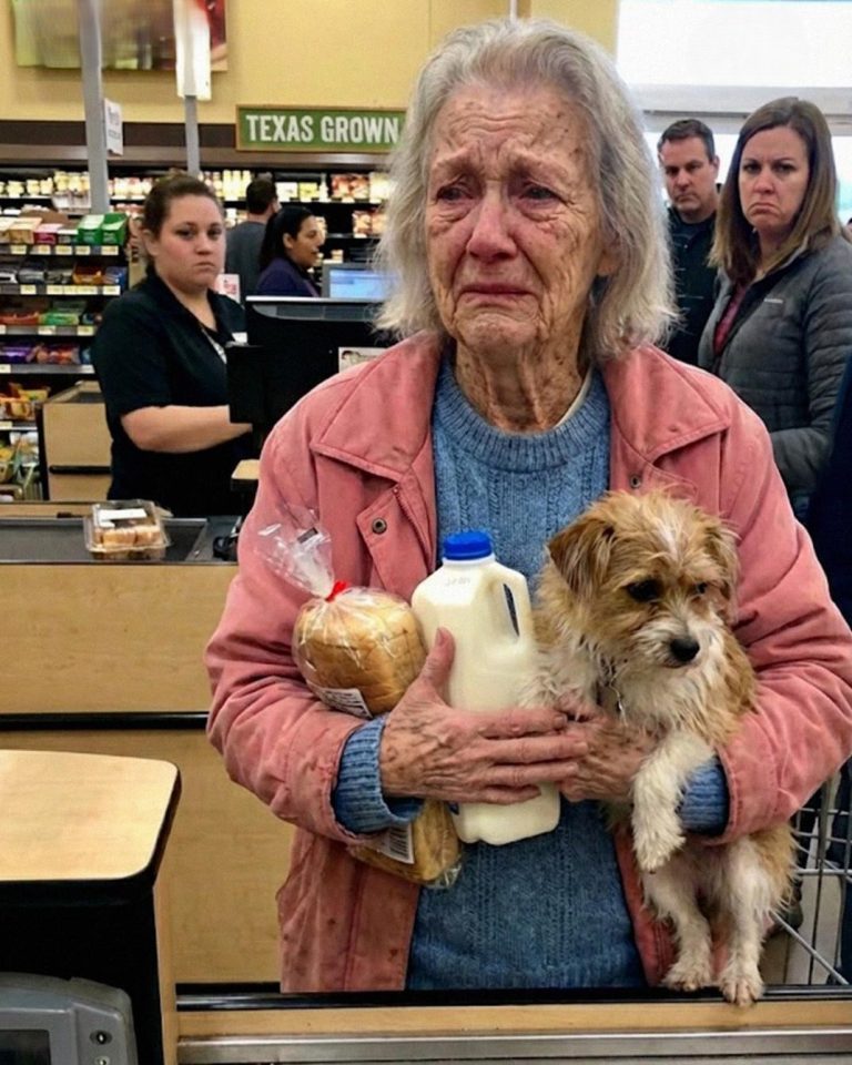 I Helped a Struggling Grandmother at the Grocery Store — Days Later, I Received an Unexpected Visit