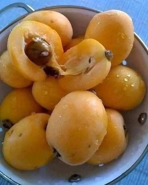 “I’ve Spent My Whole Life Searching for the Name of This Fruit” And the Internet Finally Helped