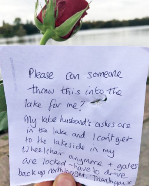 I Found a Note on a Rose—And What It Said Broke My Heart