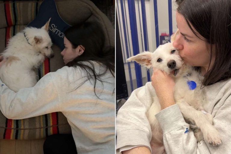Woman Adopts Foster Dog Before He’s Put Down So He Can Spend 1 Night as Family: ‘Loved Until His Very Last Breath’