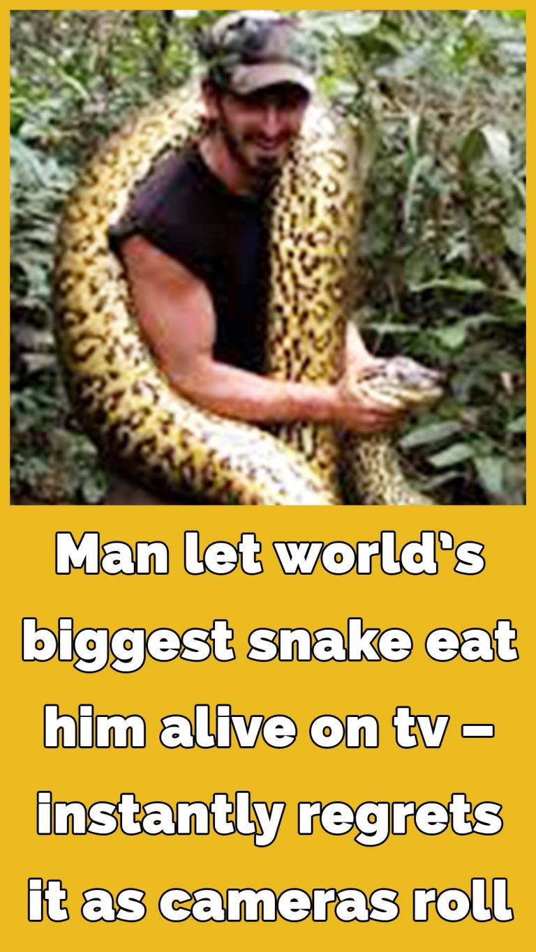 Man tried to get eaten alive by snake – instantly regretted it