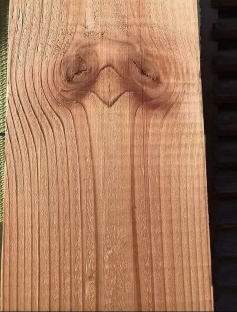 What Catches Your Eye First May Reflect Your Personality Traits