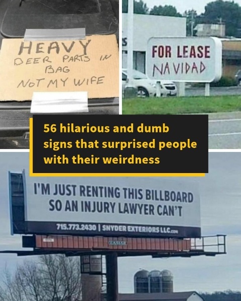 Entertaining and bizarre signs that made people do a double take