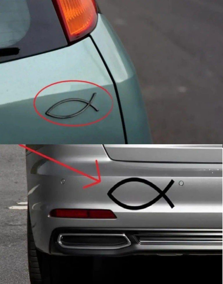 The Quiet Meaning Behind the Small Fish on Car Trunks