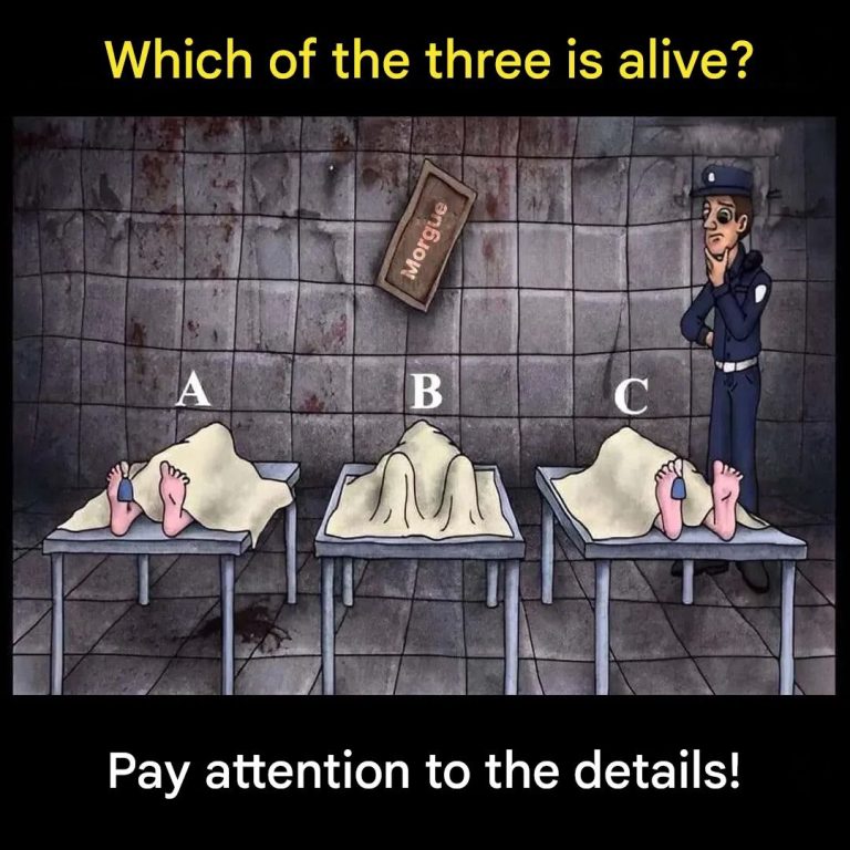 Visual puzzle: can you guess who is still alive?