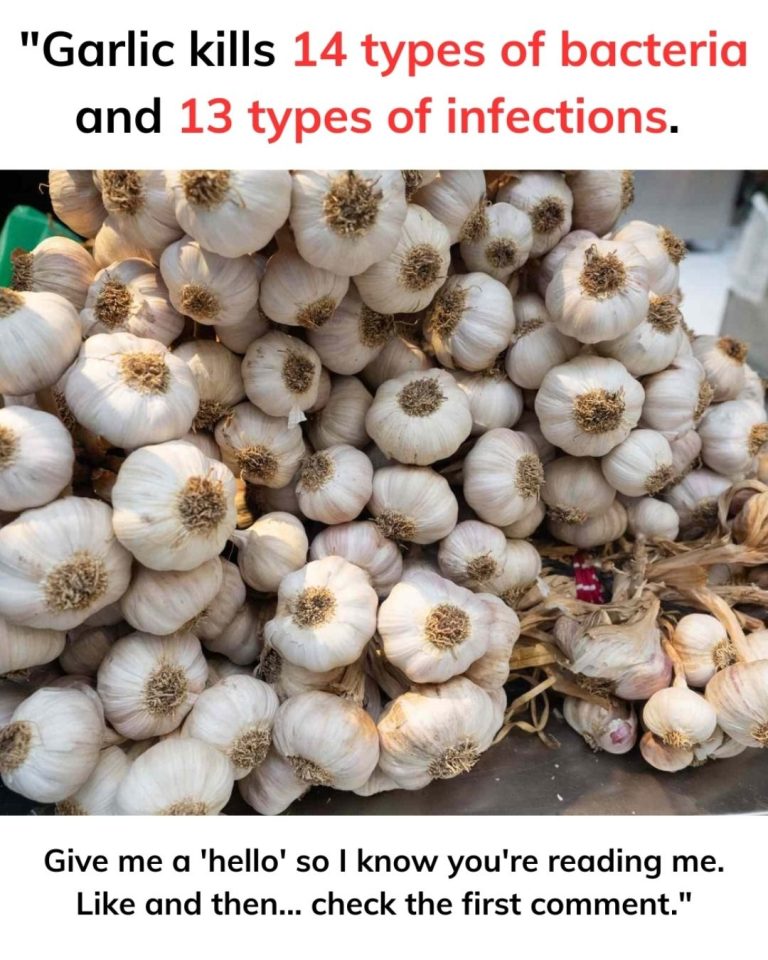 Garlic and Clove: Two Treasures for Your Health