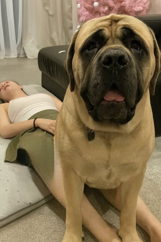 The Journey of Healing: Navigating Recovery, Accountability, and Community Support