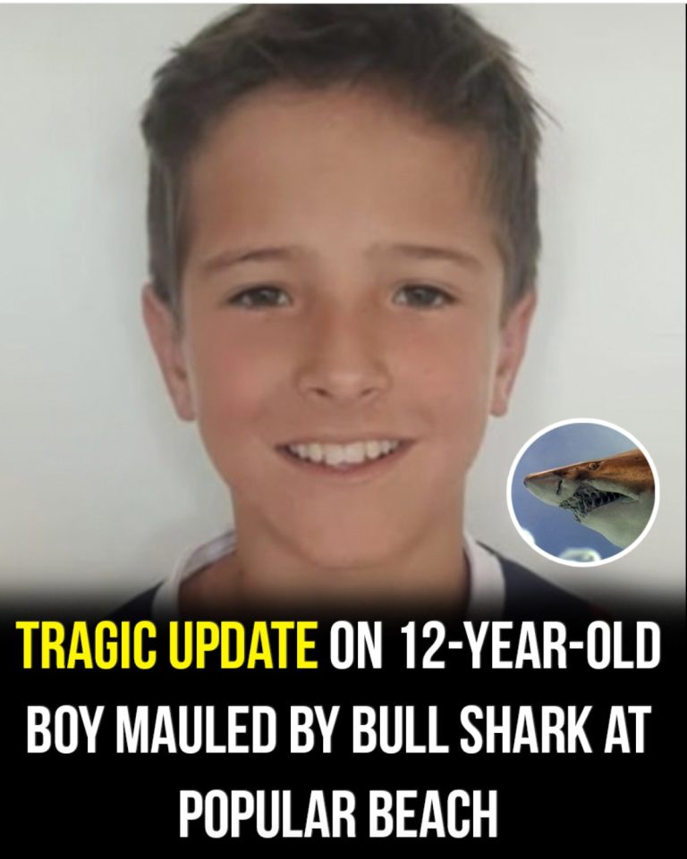 Tragic update on 12-year-old boy mauled by shark at popular beach