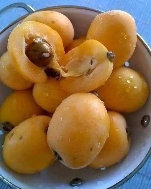 I’ve been trying to remember the name of this fruit my whole life