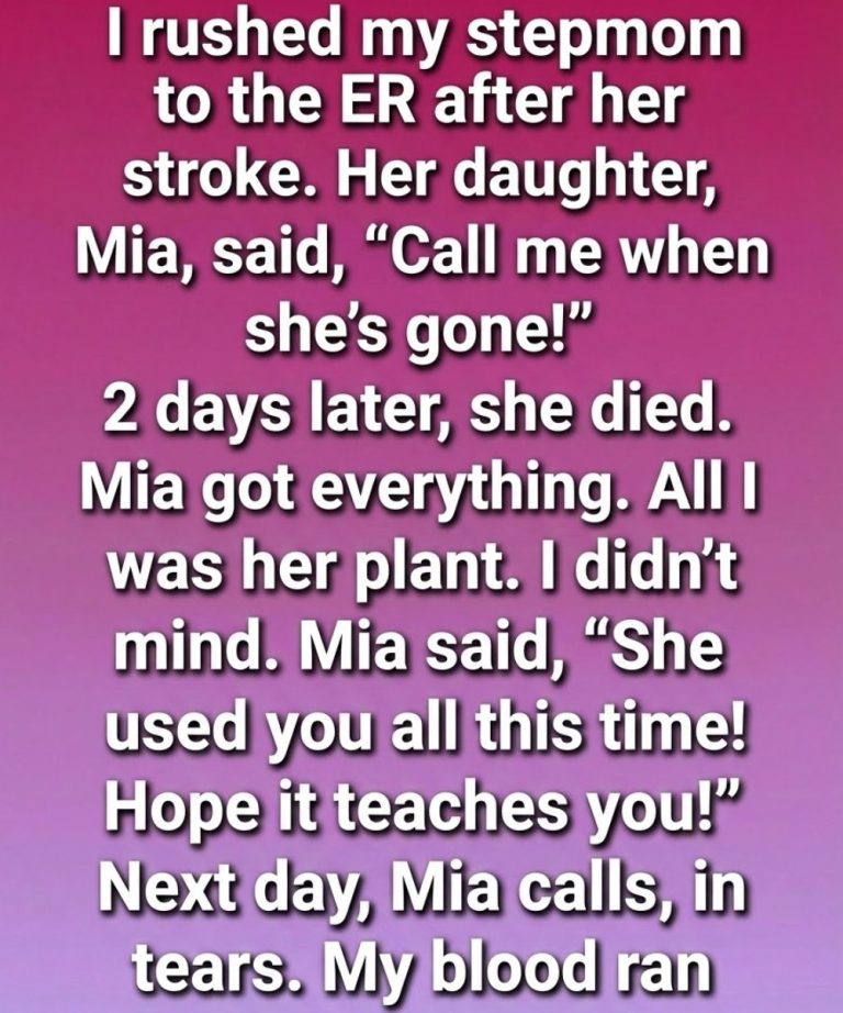 A Jade Plant’s Secret: A Story of Silent Love, Misread Intentions, and a Surprise Inheritance